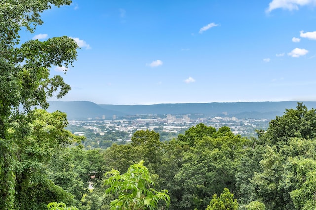 557 W Shadowlawn B Dr, Chattanooga TN, 37404 land for sale