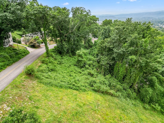 557 W Shadowlawn B Dr, Chattanooga, TN 37404