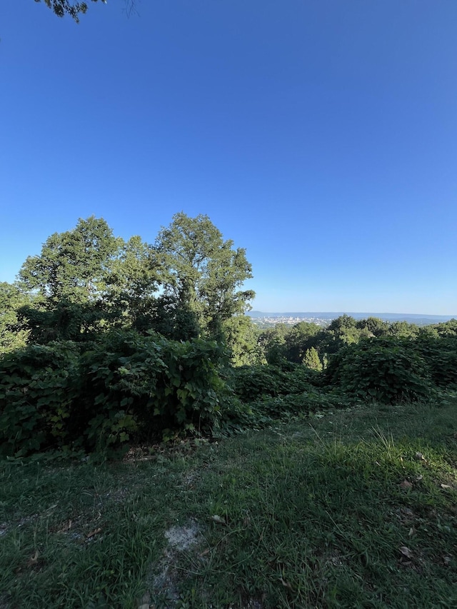 557 W Shadowlawn B Dr, Chattanooga, TN 37404