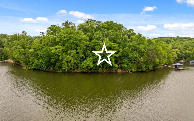 15913 Channel Pointe Dr, Sale Creek, TN 37373
