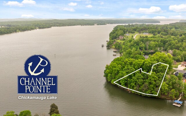 15913 Channel Pointe Dr, Sale Creek, TN 37373