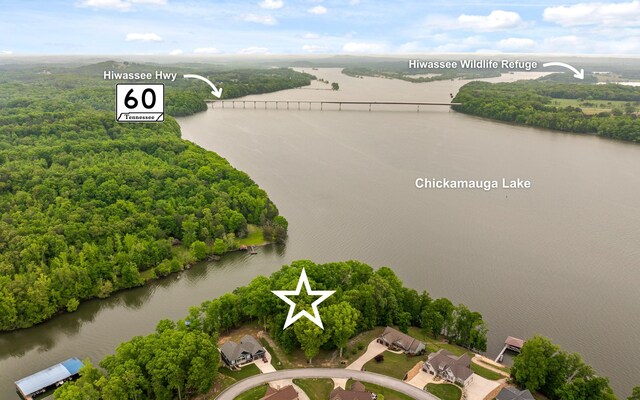 15913 Channel Pointe Dr, Sale Creek, TN 37373