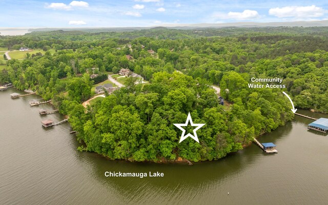 15913 Channel Pointe Dr, Sale Creek, TN 37373