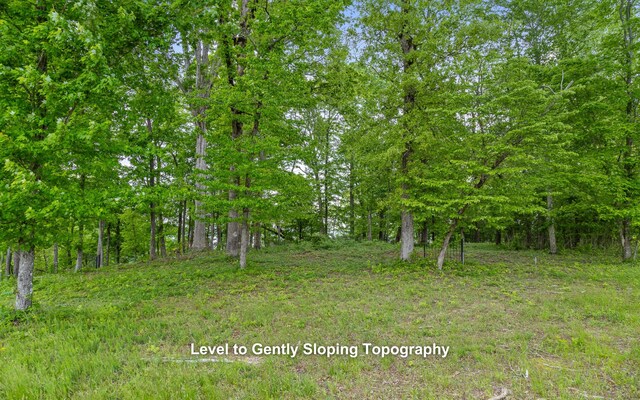 15913 Channel Pointe Dr, Sale Creek, TN 37373