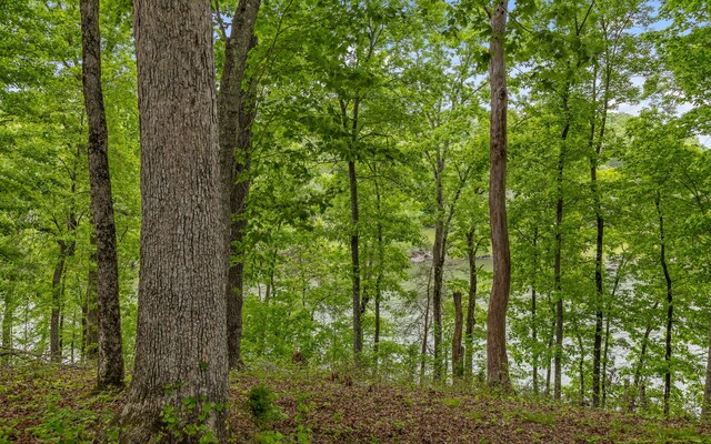 15913 Channel Pointe Dr, Sale Creek, TN 37373