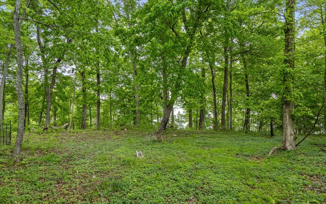 15913 Channel Pointe Dr, Sale Creek, TN 37373