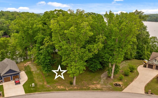 15913 Channel Pointe Dr, Sale Creek, TN 37373