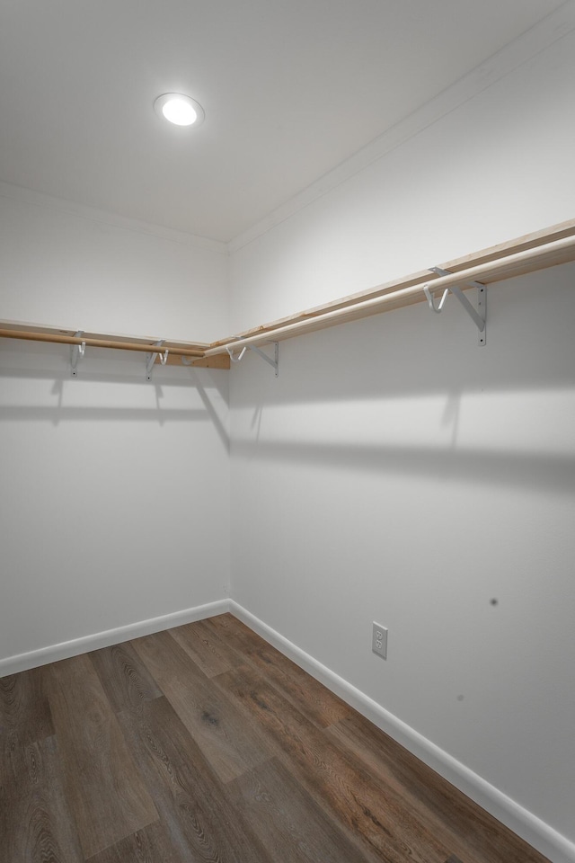 spacious closet featuring dark hardwood / wood-style floors