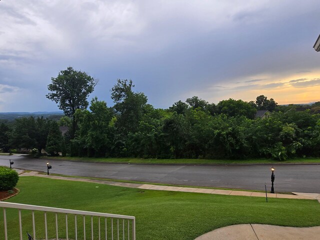 1609 Capanna Trl, Hixson, TN 37343 - view of street