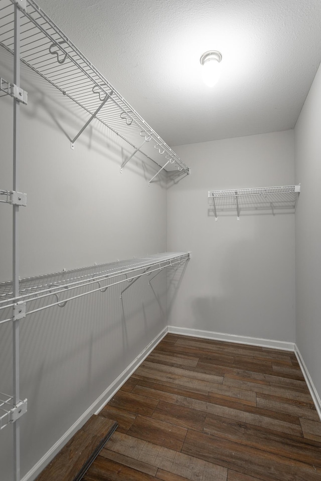 walk in closet with wood finished floors