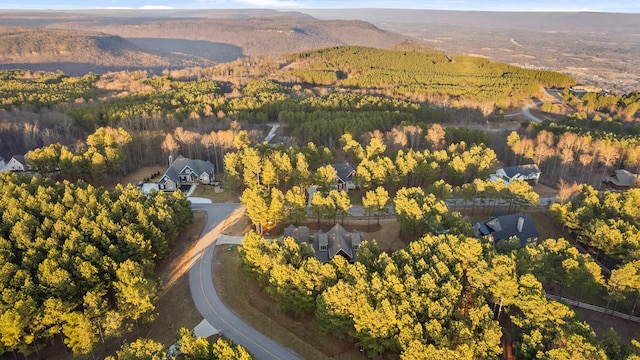 birds eye view of property featuring a mountain view