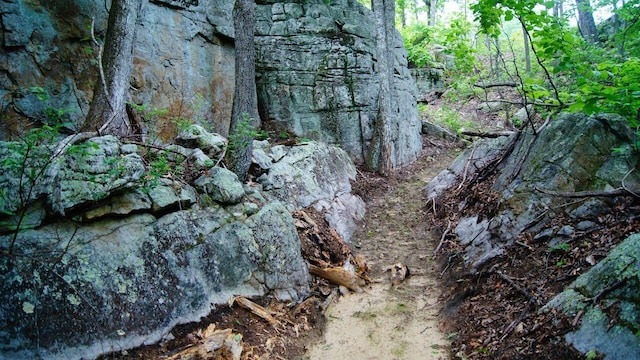 view of nature