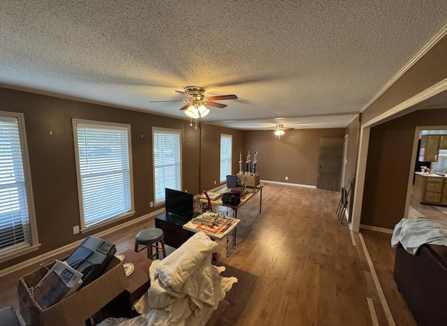 living room with wood-type flooring, crown molding, ceiling fan, and a textured ceiling