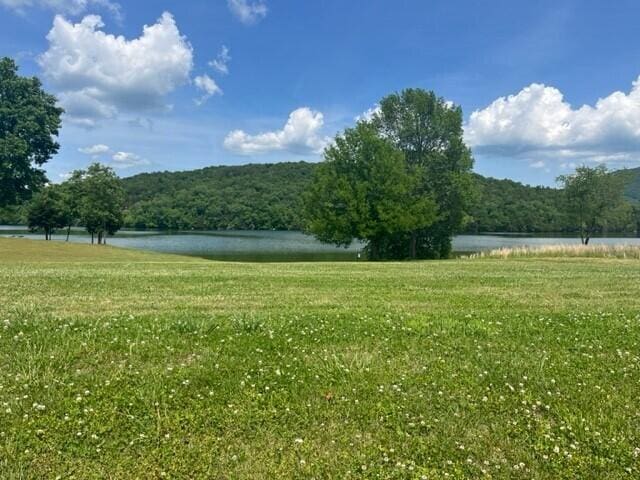 view of community featuring a water view and a yard