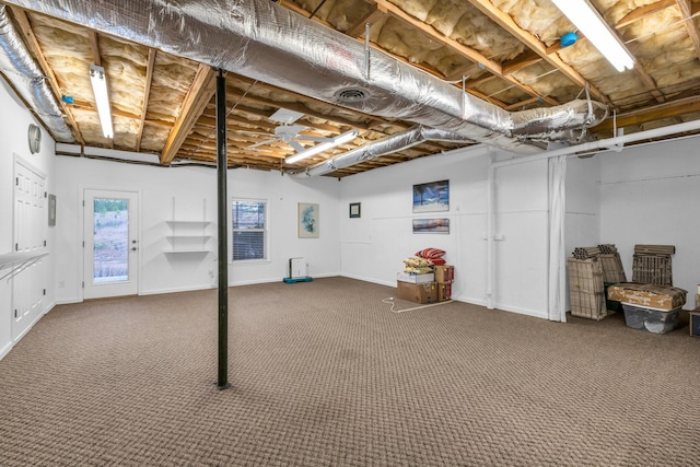 basement featuring carpet