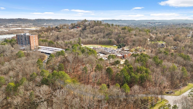 1414 Continental Dr Unit 606, Chattanooga, TN 37405 - photo 40