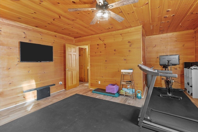 workout room featuring wood ceiling, ceiling fan, wooden walls, and wood finished floors