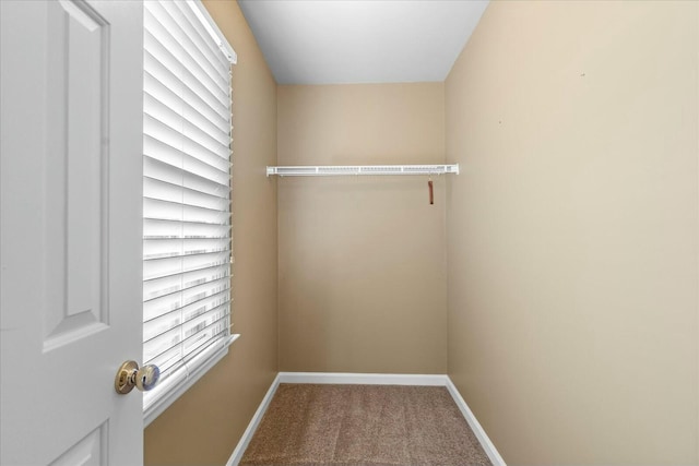 spacious closet featuring carpet floors