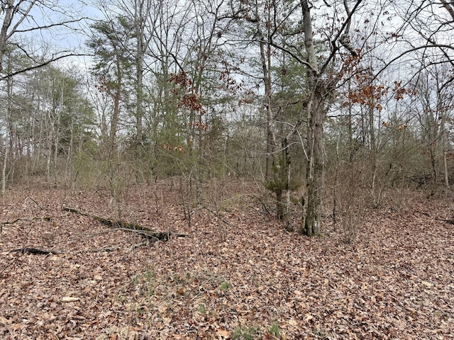 Listing photo 2 for 0 Monteagle Falls Rd, Monteagle TN 37356