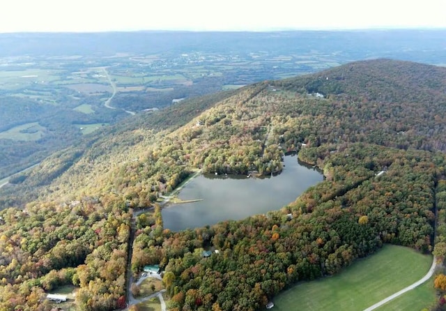 bird's eye view with a water view and a wooded view