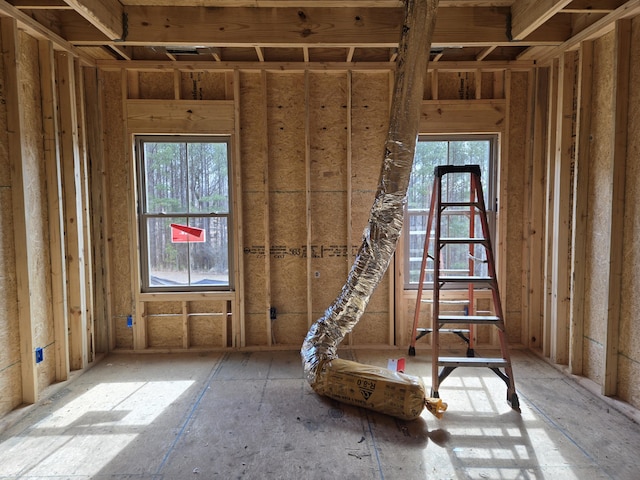 miscellaneous room featuring a wealth of natural light