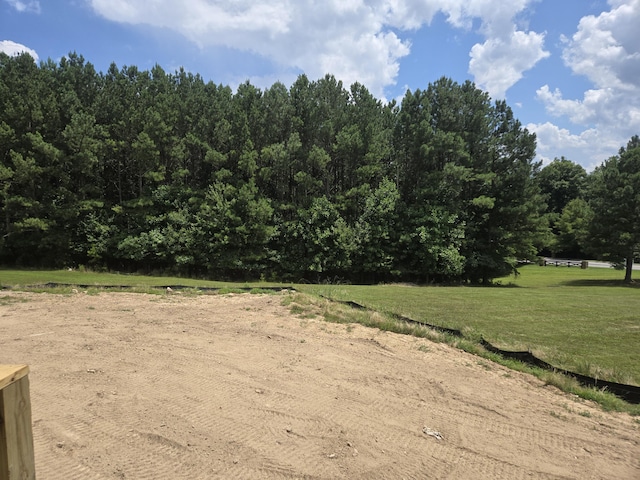 1646 Ritz Way Unit 4, Soddy Daisy, TN 37379 - view of green lawn