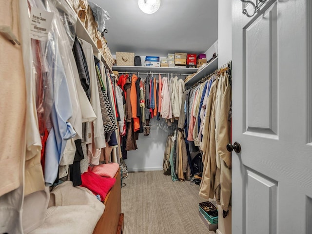 spacious closet with carpet