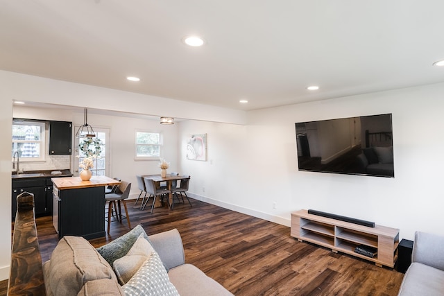 living room featuring dark wood-type flooring and sink