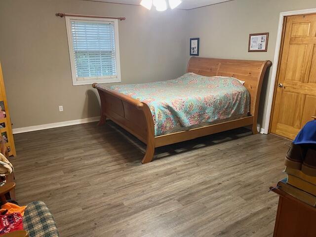 bedroom featuring ceiling fan and dark hardwood / wood-style floors