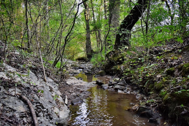 view of local wilderness