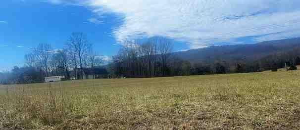 view of yard featuring a rural view and a mountain view