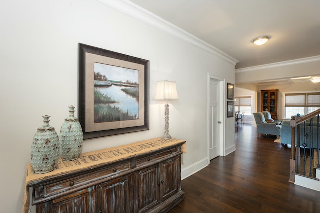 hallway featuring crown molding and dark hardwood / wood-style floors