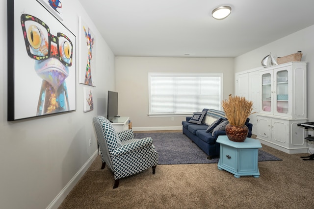 living area featuring carpet