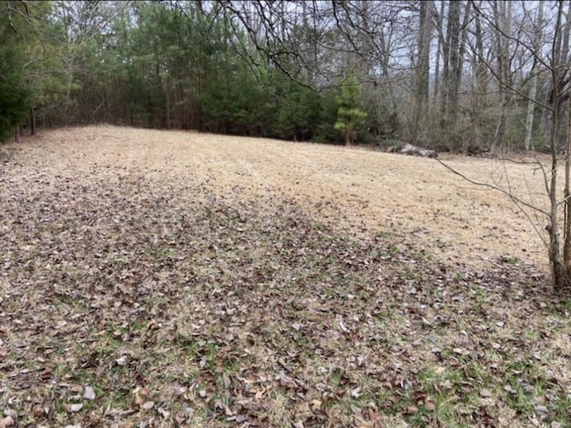 view of local wilderness featuring a wooded view