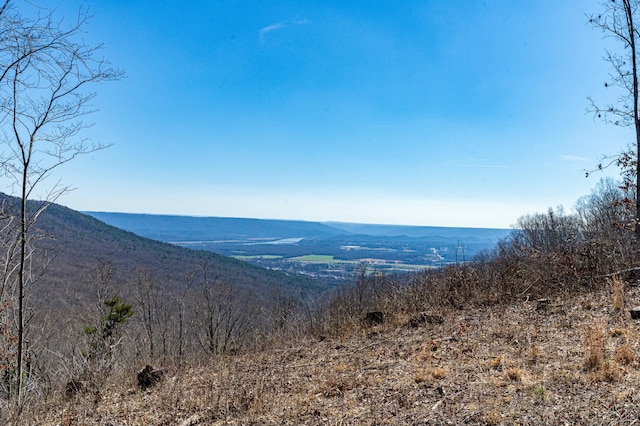 view of mountain feature