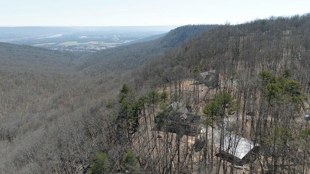 property view of mountains with a forest view