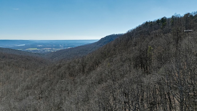 property view of mountains featuring a view of trees