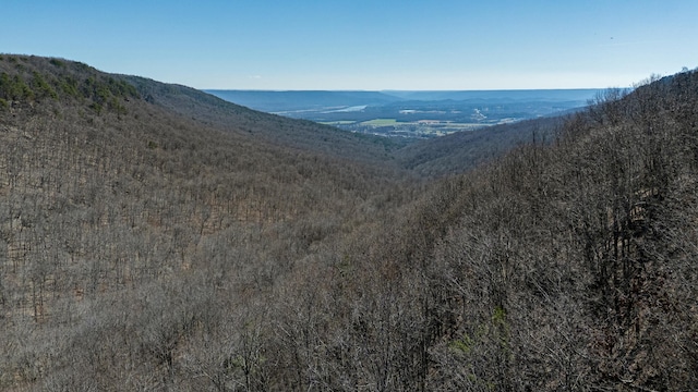 property view of mountains with a view of trees