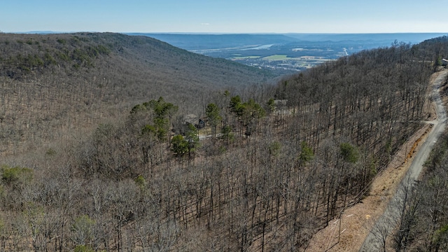 property view of mountains with a wooded view