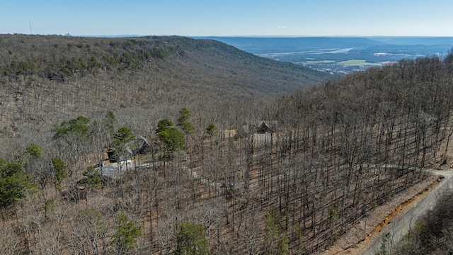 property view of mountains featuring a wooded view