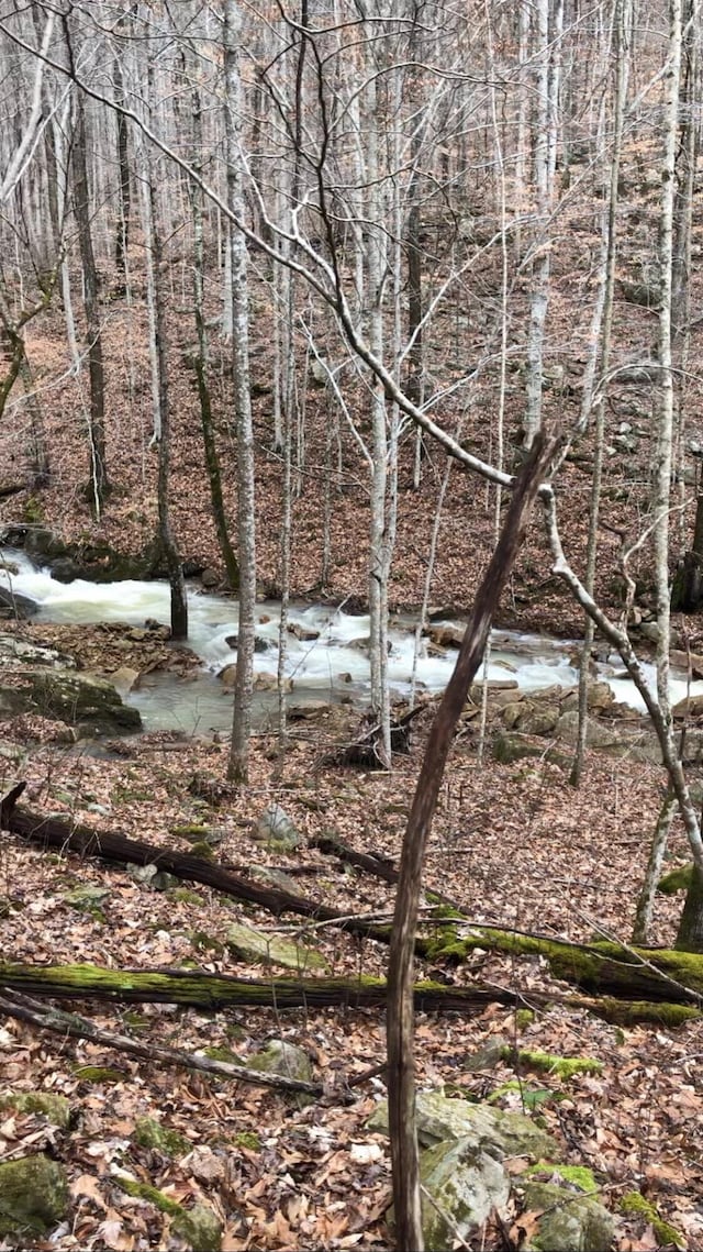 view of local wilderness