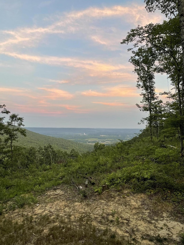 view of local wilderness