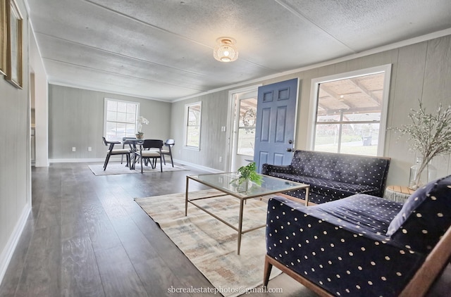 living room featuring ornamental molding, dark wood-type flooring, and a textured ceiling