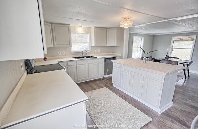 kitchen with sink, a center island, dark wood-type flooring, stainless steel dishwasher, and range