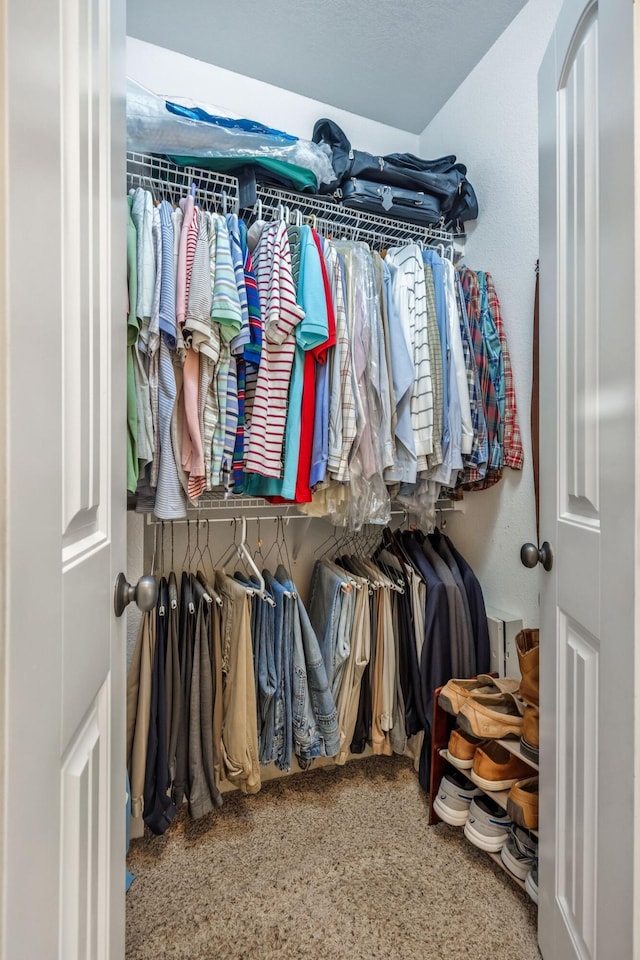 view of spacious closet