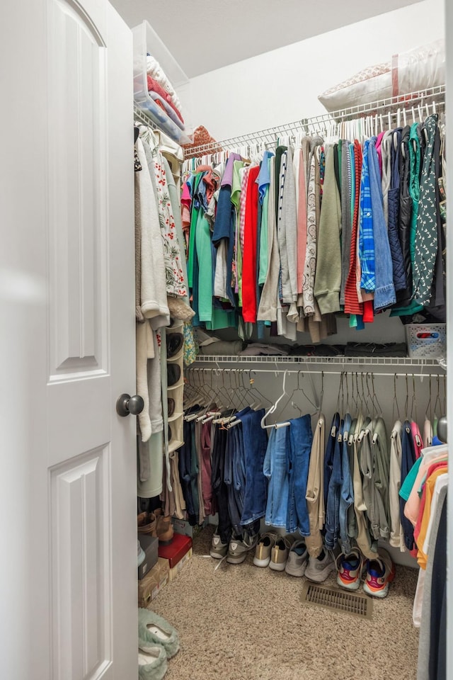 view of spacious closet