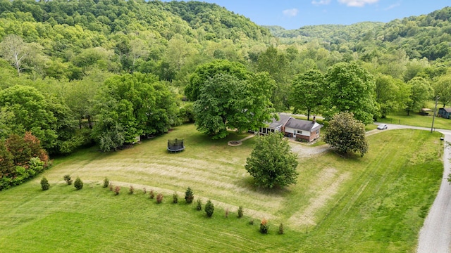 1155 Ridge Hill Rd, Goodlettsville, TN 37072 - photo 1