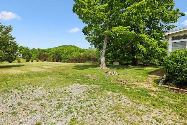 1155 Ridge Hill Rd, Goodlettsville, TN 37072 - photo 33