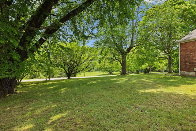 1155 Ridge Hill Rd, Goodlettsville, TN 37072 - photo 37