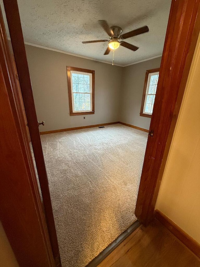 carpeted empty room with ceiling fan, ornamental molding, and a textured ceiling